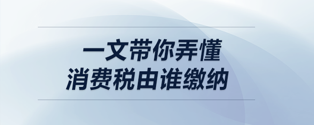 一文帶你弄懂消費稅由誰繳納！