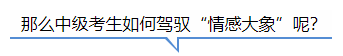 中級會計 那么如何在備考中控制住“情感大象”呢？
