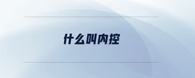 什么叫內(nèi)控