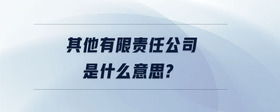 其他有限責(zé)任公司是什么意思？