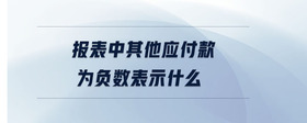 報(bào)表中其他應(yīng)付款為負(fù)數(shù)表示什么