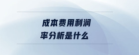 成本費(fèi)用利潤(rùn)率分析是什么