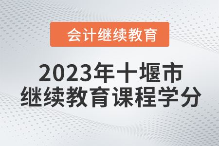2023年十堰市會(huì)計(jì)繼續(xù)教育課程學(xué)分