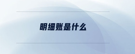 明細(xì)賬是什么