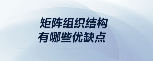 矩陣組織結(jié)構(gòu)有哪些優(yōu)缺點(diǎn)