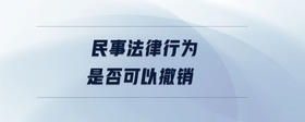 民事法律行為是否可以撤銷