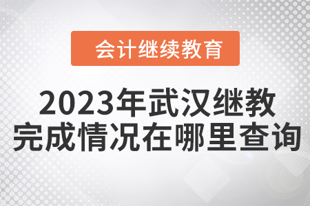 2023年武漢會(huì)計(jì)人員繼續(xù)教育完成情況在哪里查詢？