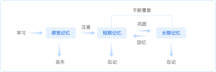 中級會計人的三大記憶感覺記憶短期記憶和長期記憶