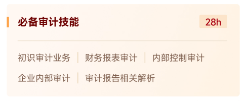 審計技能