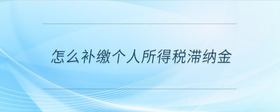 怎么補(bǔ)繳個(gè)人所得稅滯納金