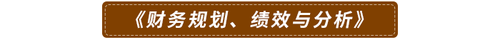 《財(cái)務(wù)規(guī)劃、績效與分析》