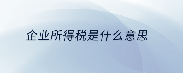 企業(yè)所得稅是什么意思？
