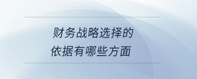 財務(wù)戰(zhàn)略選擇的依據(jù)有哪些方面