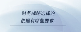 財務(wù)戰(zhàn)略選擇的依據(jù)有哪些要求