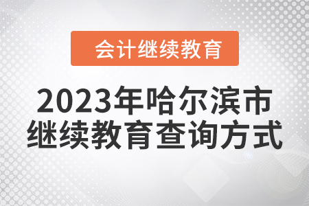2023年哈爾濱市會計人員繼續(xù)教育查詢方式