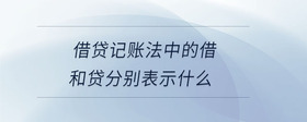 借貸記賬法中的借和貸分別表示什么