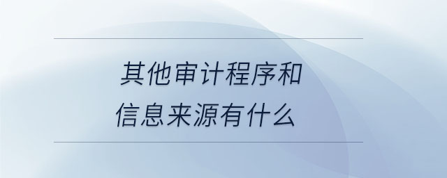 其他審計(jì)程序和信息來源有什么