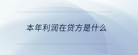 本年利潤在貸方是什么