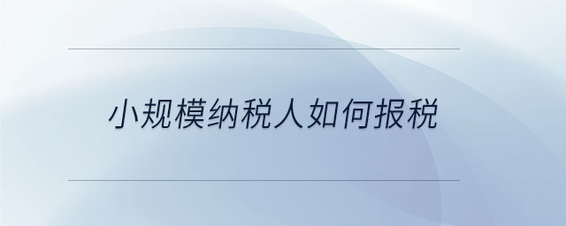 小規(guī)模納稅人如何報(bào)稅