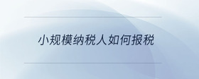 小規(guī)模納稅人如何報稅