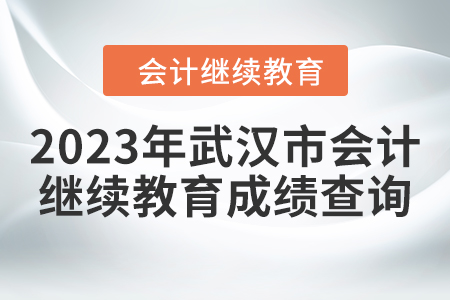 2023年武漢市會計人員繼續(xù)教育成績查詢方式