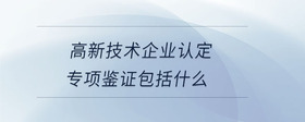 高新技術(shù)企業(yè)認(rèn)定專項鑒證包括什么