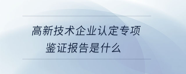 高新技術(shù)企業(yè)認(rèn)定專(zhuān)項(xiàng)鑒證報(bào)告是什么