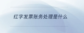 紅字發(fā)票賬務(wù)處理是什么
