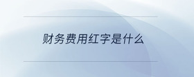 財(cái)務(wù)費(fèi)用紅字是什么