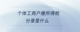 個體工商戶繳所得稅分錄是什么