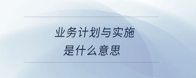 業(yè)務計劃與實施是什么意思