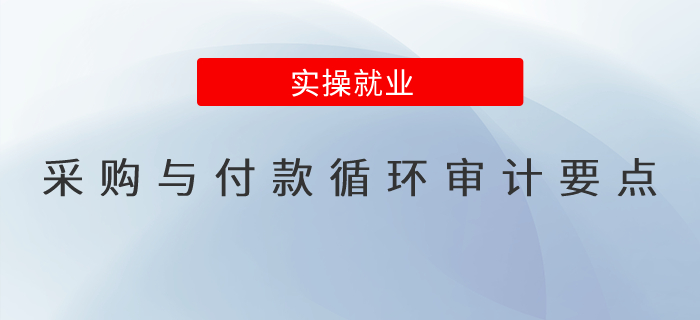 采購與付款循環(huán)審計要點