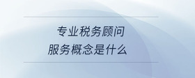 專業(yè)稅務(wù)顧問(wèn)服務(wù)概念是什么
