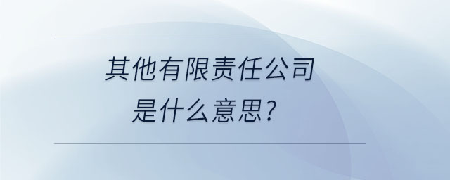 其他有限責任公司是什么意思？
