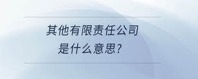 其他有限責任公司是什么意思？