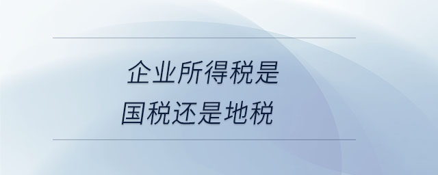 企業(yè)所得稅是國(guó)稅還是地稅