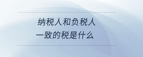 納稅人和負稅人一致的稅是什么
