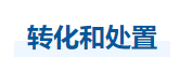 中級(jí)會(huì)計(jì)實(shí)務(wù)知識(shí)點(diǎn)