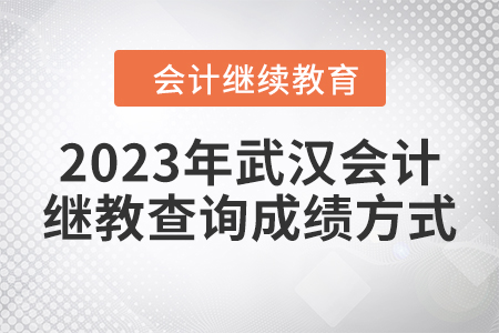 2023年武漢會(huì)計(jì)繼續(xù)教育查詢成績方式
