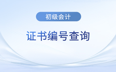 初級(jí)會(huì)計(jì)師證證書(shū)編號(hào)查詢?nèi)肟诠倬W(wǎng)