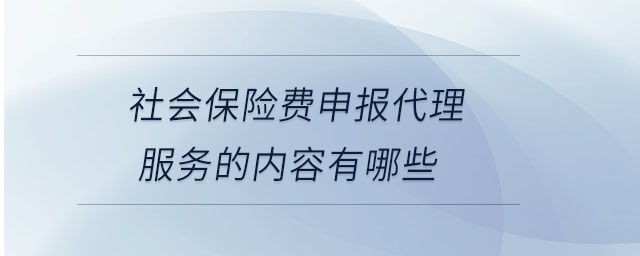 社會保險(xiǎn)費(fèi)申報(bào)代理服務(wù)的內(nèi)容有哪些