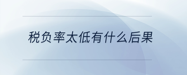 稅負率太低有什么后果？
