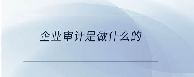 企業(yè)審計(jì)是做什么的