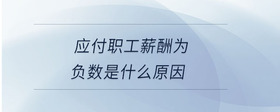 應(yīng)付職工薪酬為負(fù)數(shù)是什么原因
