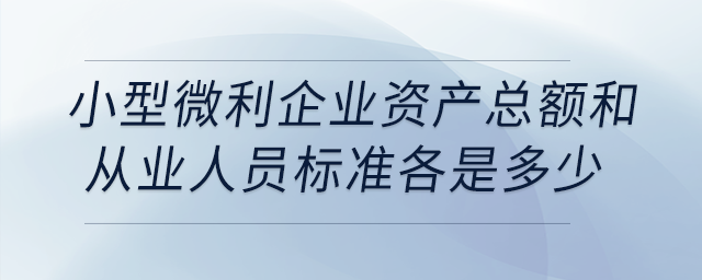 小型微利企業(yè)資產(chǎn)總額和從業(yè)人員標(biāo)準(zhǔn)各是多少？