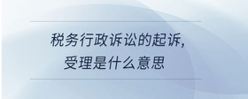 稅務(wù)行政訴訟的起訴，受理是什么意思