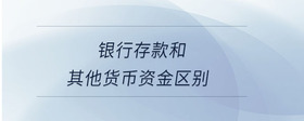 銀行存款和其他貨幣資金區(qū)別