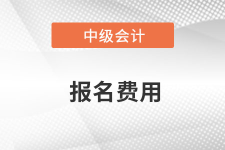 中級(jí)會(huì)計(jì)師2023年報(bào)名考試費(fèi)用是多少?