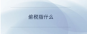 偷稅指什么