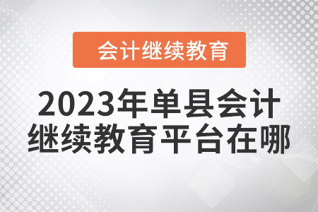 2023年單縣會(huì)計(jì)人員繼續(xù)教育平臺(tái)在哪？